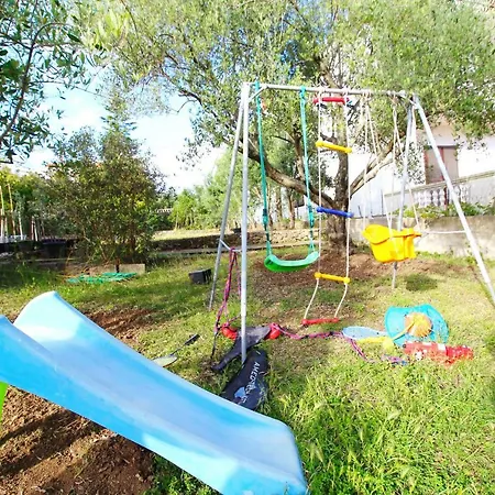 L & Z Petrcane
